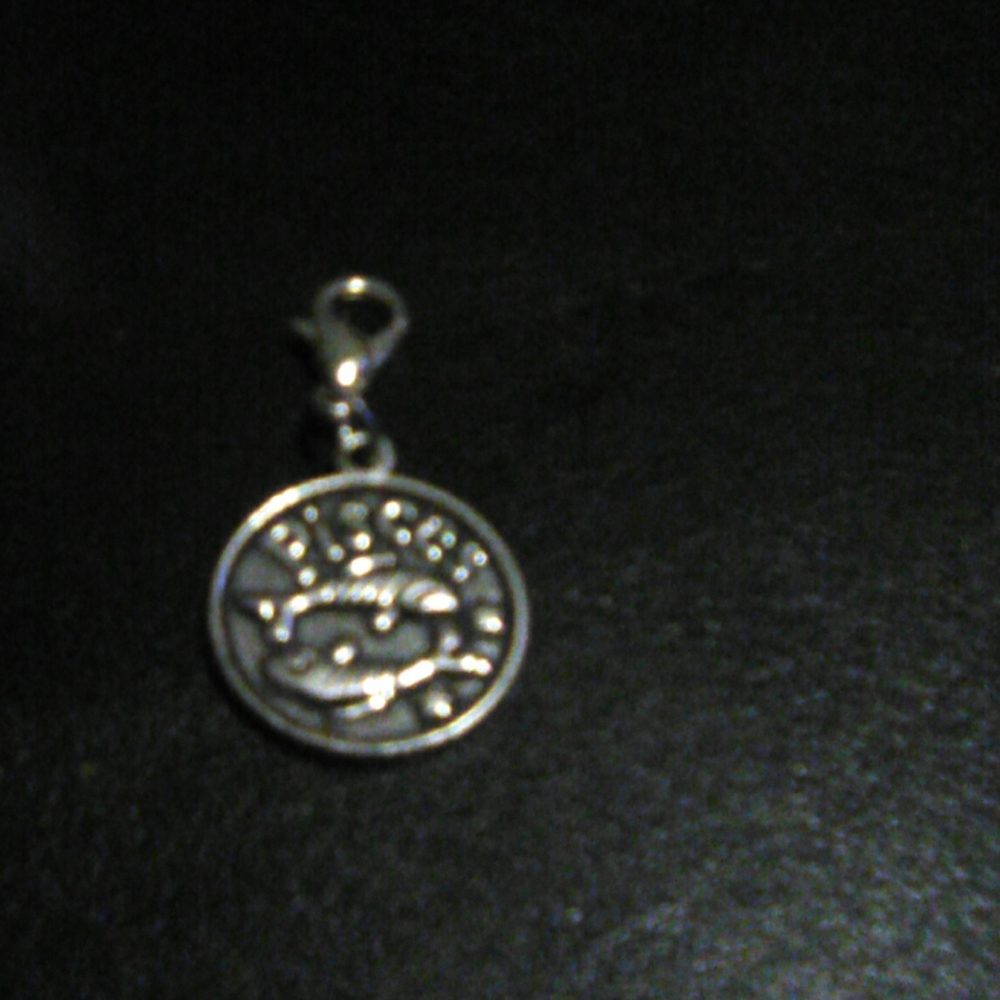 Zodiac sign charm